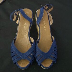 Pre-owned, blue wedges